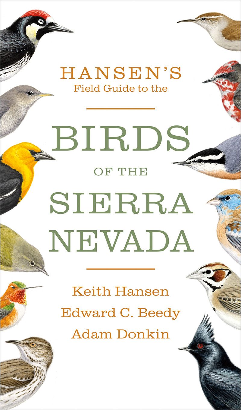 Hansen's Field Guide to the Birds of the Sierra Nevada