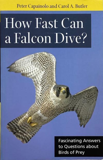 How Fast Can a Falcon Dive?