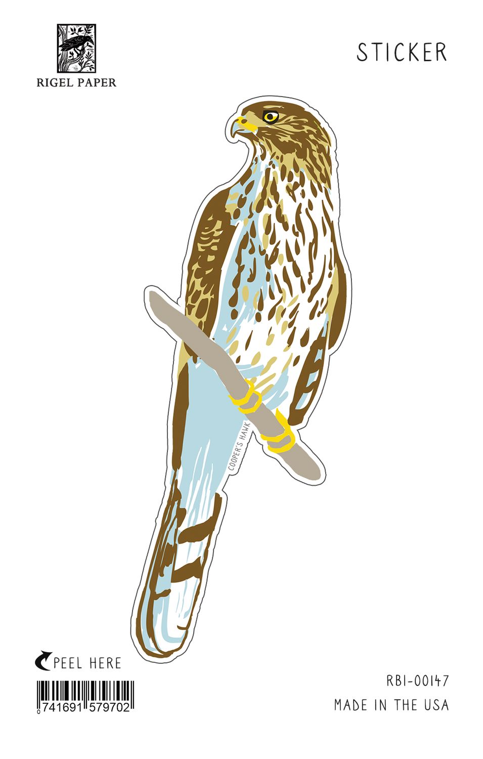 Coopers Hawk Bird Sticker