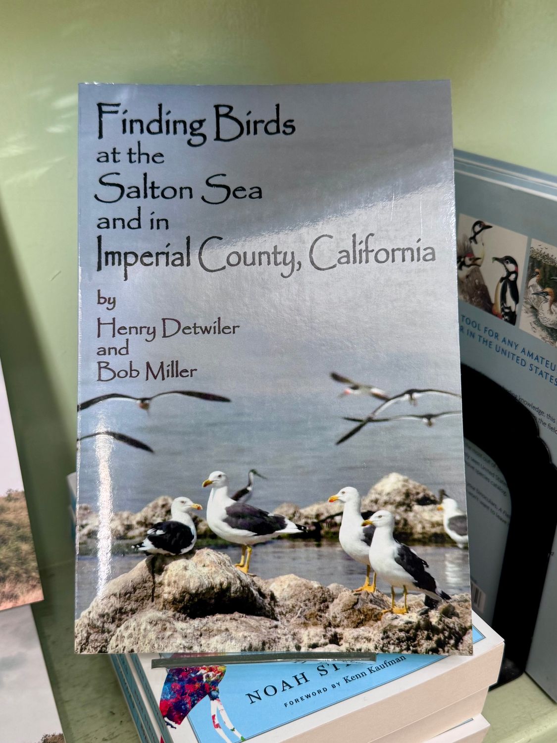 Finding Birds at the Salton Sea and in Imperial County, California