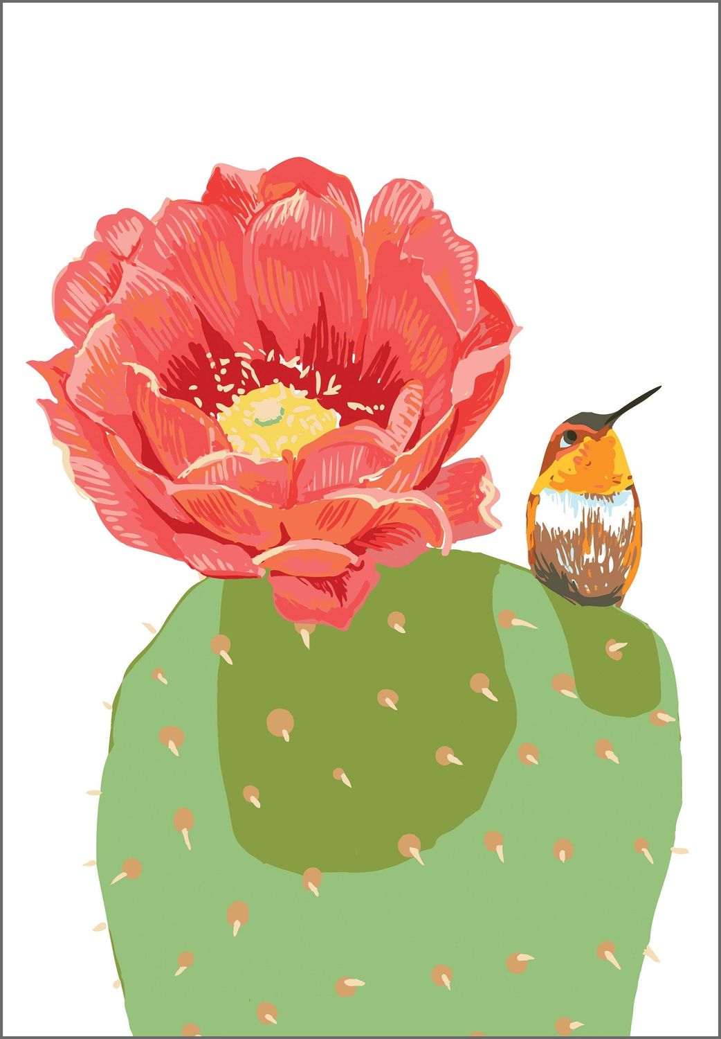 Hummingbird &amp; Desert Cactus Flower Greeting Card: Greeting Card