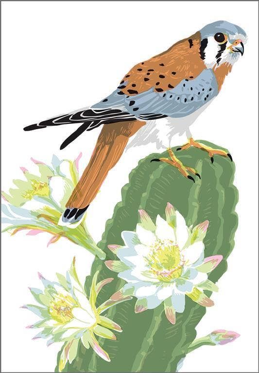 Kestrel Bird &amp; Cactus Magnet