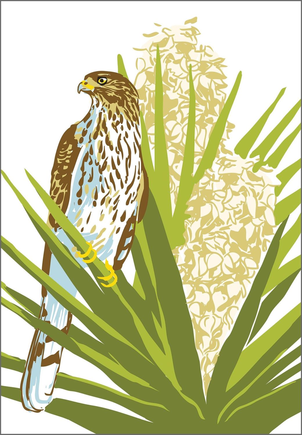 Cooper's Hawk &amp; Yucca Magnet
