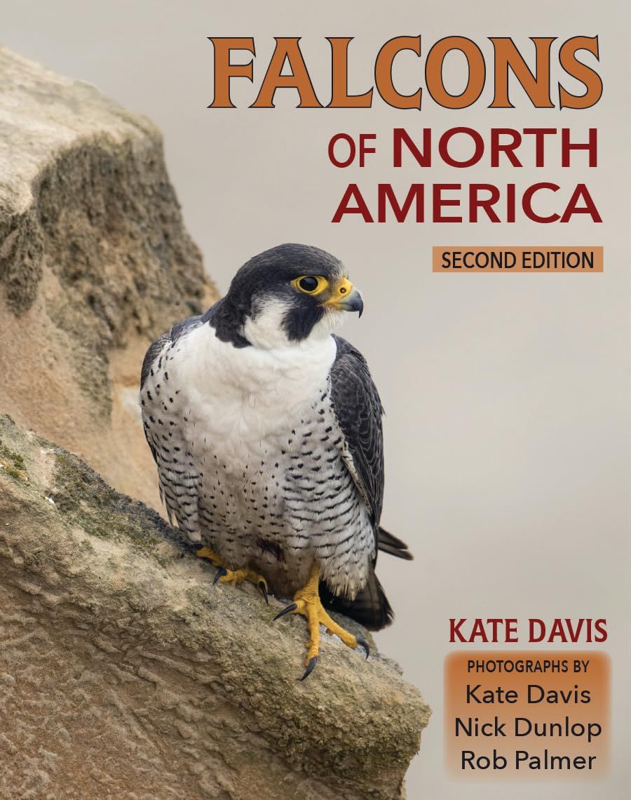 Falcons of North America (Second Edition)