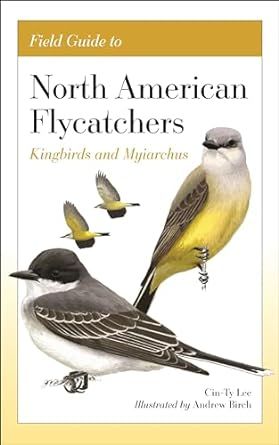 Field Guide to North American Flycatchers: Kingbirds and Myiarchus
