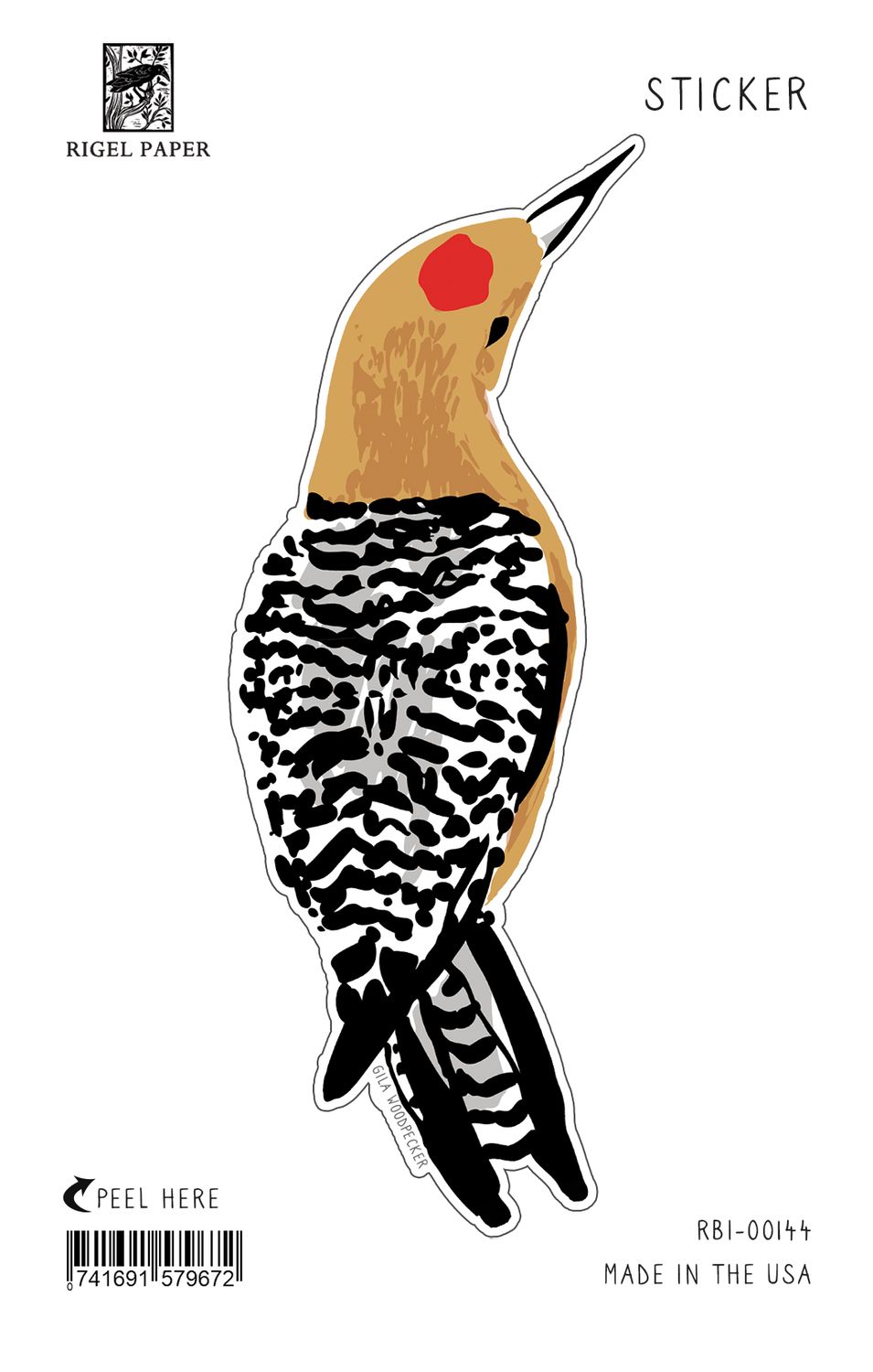 Gila Woodpecker Bird Sticker