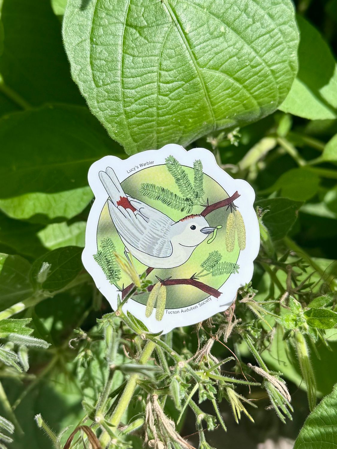 Lucy's Sticker (Small, 2")