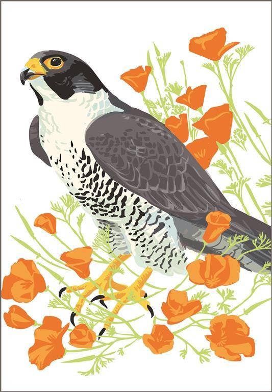 Peregrine Falcon &amp; California Poppies Flower Magnet