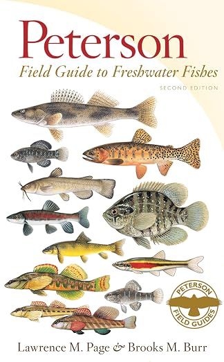 Peterson Field Guide to Freshwater Fishes of North America North of Mexico, Second Edition