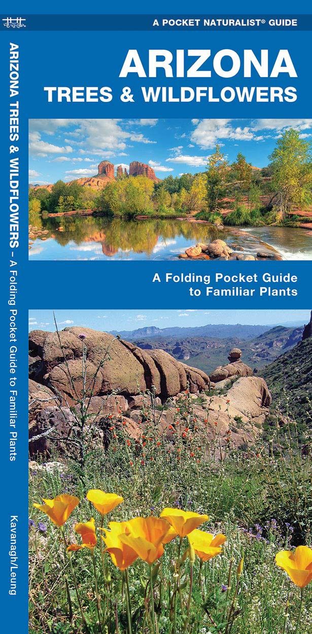 Pocket Naturalist Guide: Arizona Trees and Wildflowers