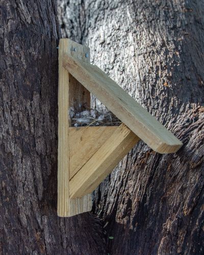 Lucy's Warbler Nest Box