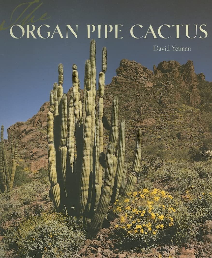The Organ Pipe Cactus
