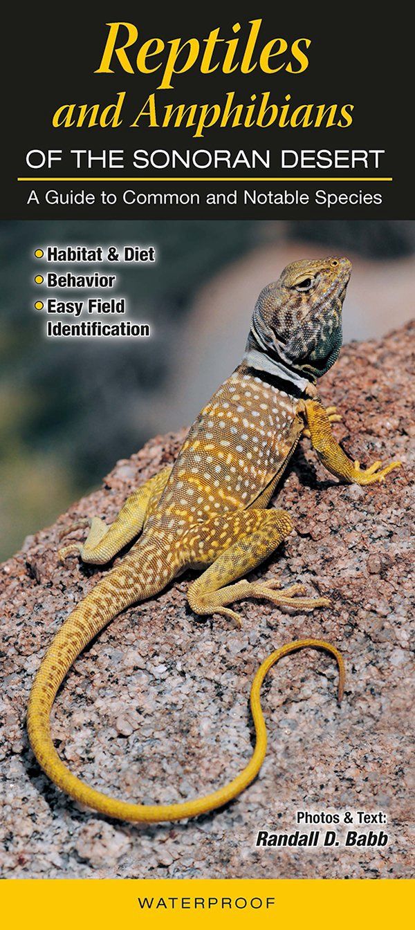 Quick Reference Publishing: Reptiles and Amphibians of the Sonoran Desert