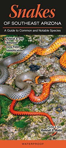 Quick Reference Publishing: Snakes of Southeast Arizona