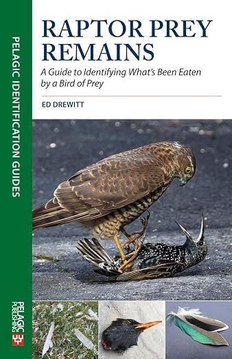 Raptor Prey Remains: A Guide to Identifying What's Been Eaten by a Bird of Prey