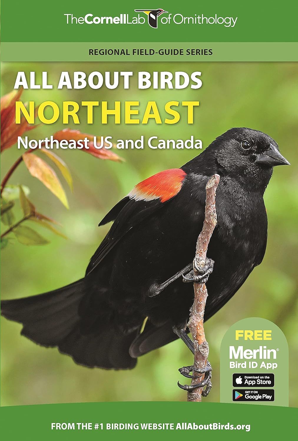 All About Birds: Northeast (Cornell)