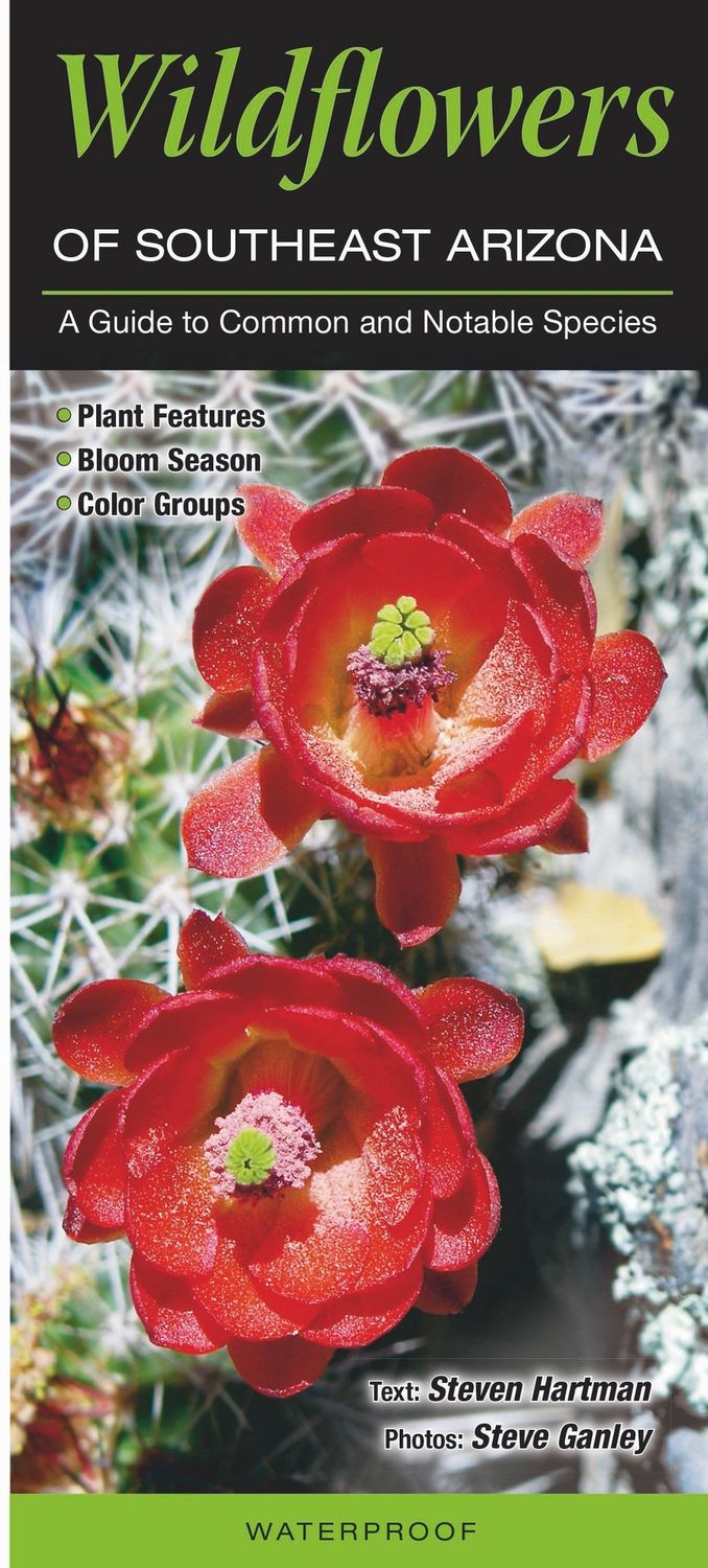 Quick Reference Publishing: Wildflowers of Southeast Arizona