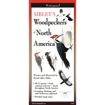 Sibley's Woodpeckers of North America (Folding Guide)