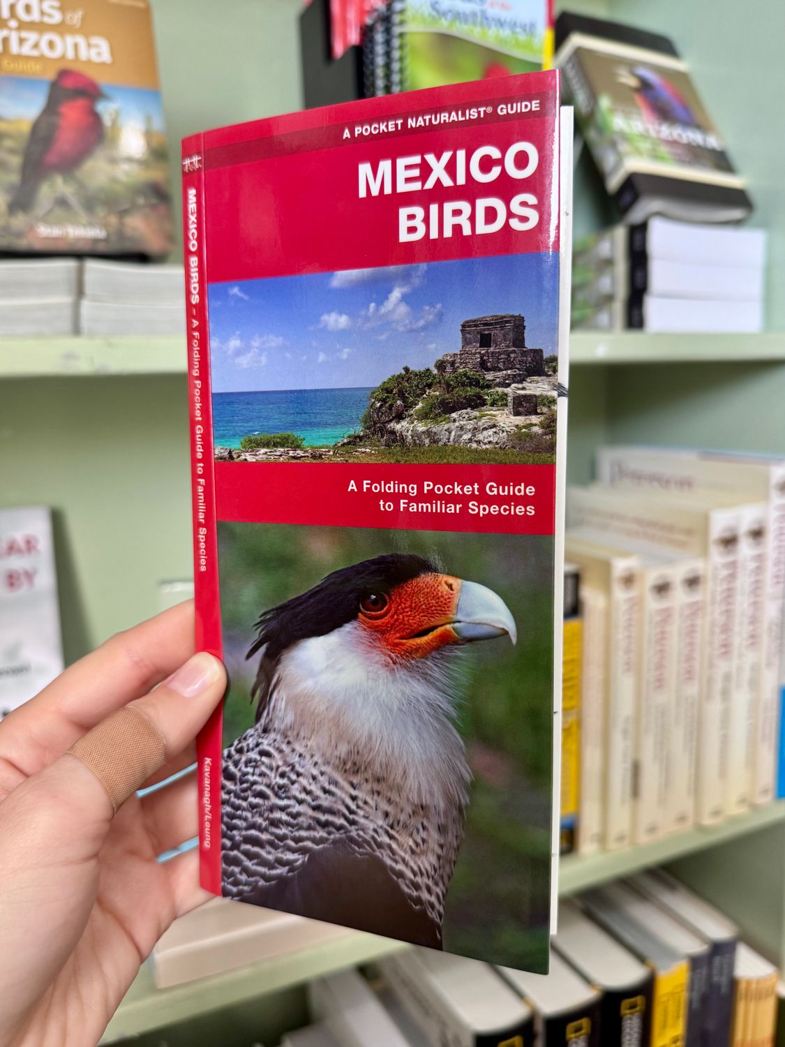 Pocket Guide: Mexico Birds