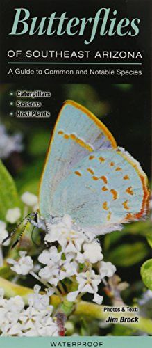 Quick Reference Publishing: Butterflies of Southeast Arizona