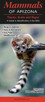 Quick Reference Publishing: Mammals of Arizona: Foldout Guide Tracks, Scats and Signs