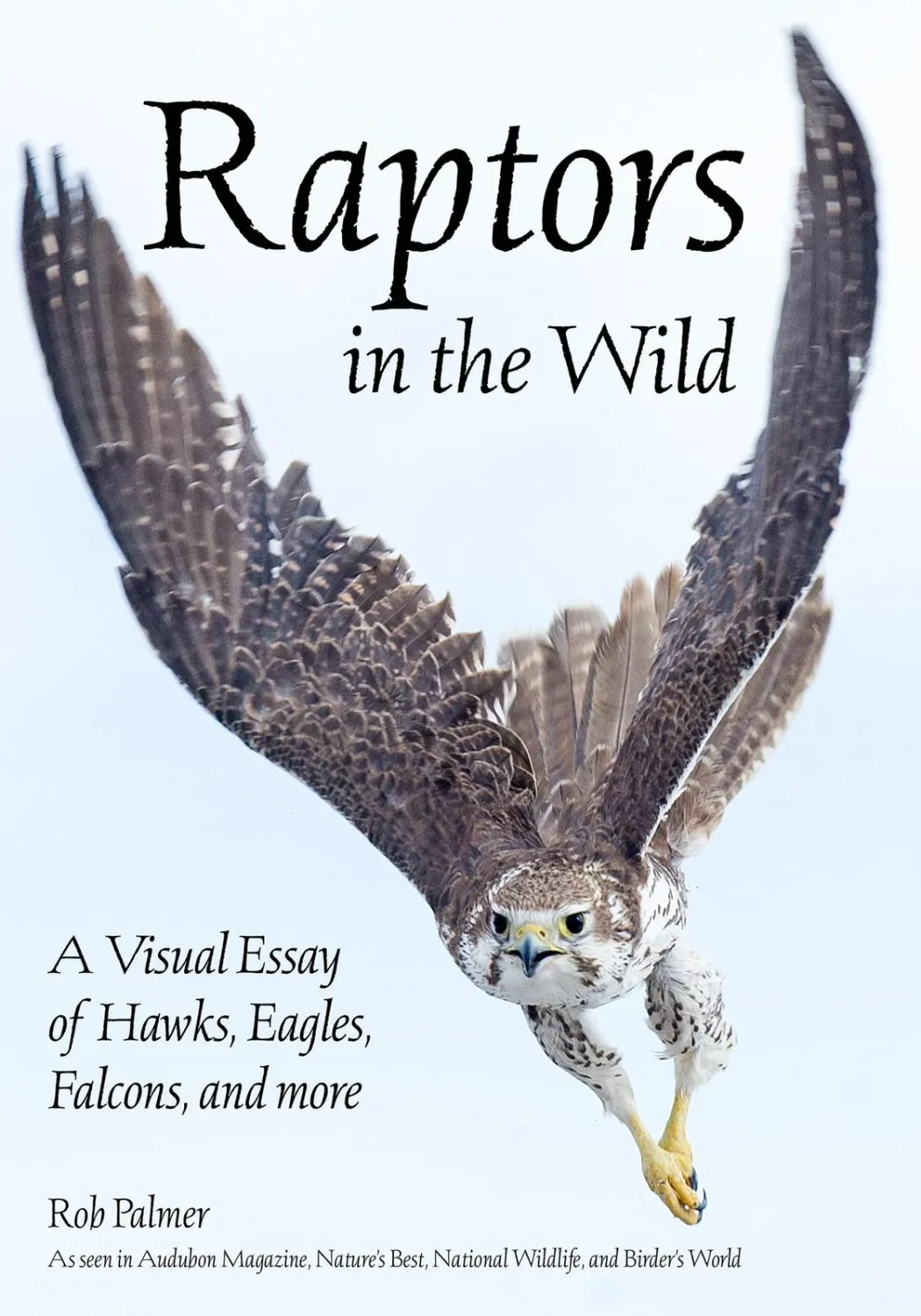 Raptors in the Wild: A Visual Essay of Hawks, Eagles, Falcons, and More