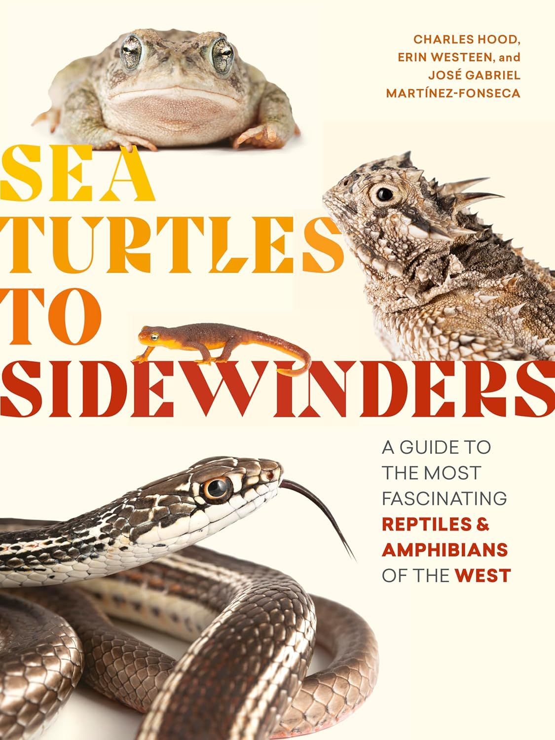 Sea Turtles to Sidewinders: A Guide to the Most Fascinating Reptiles &amp; Amphibians of the West