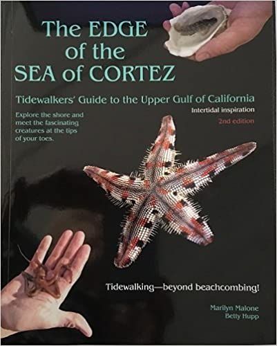 The Edge of the Sea of Cortez