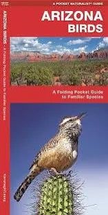 Pocket Naturalist Guide: Arizona Birds