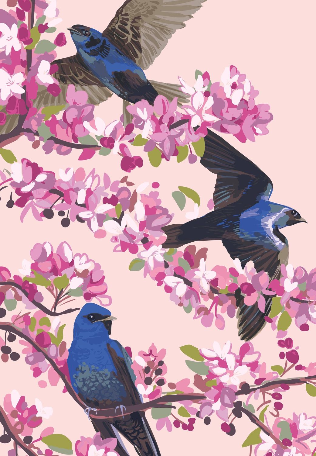 Purple Martins and Cherry Blossoms Magnet