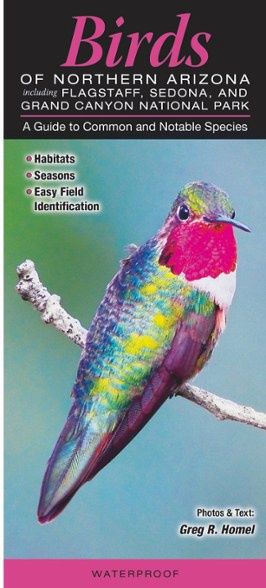 Quick Reference Publishing: Birds of Northern Arizona