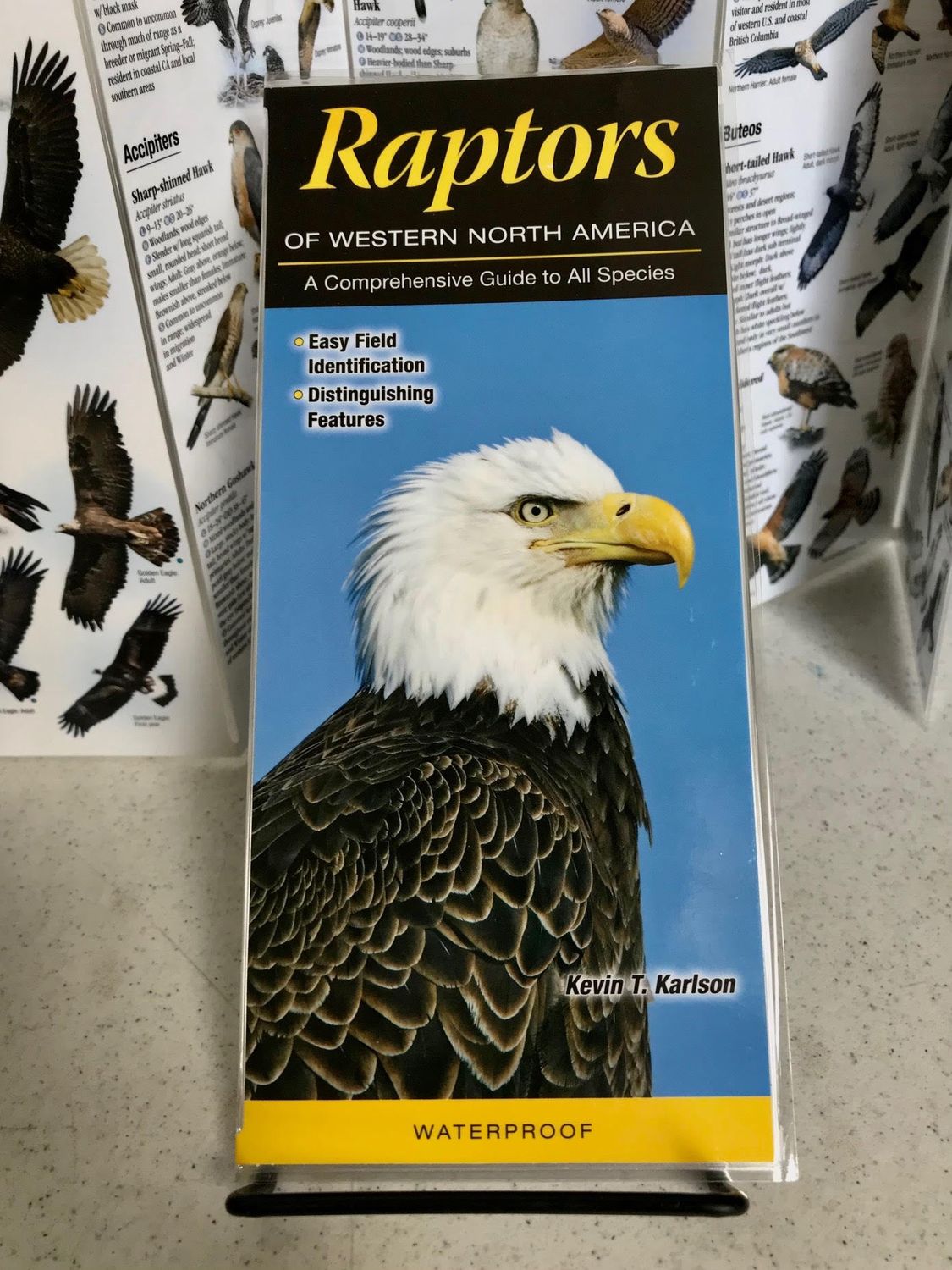 Quick Reference Publishing: Raptors of Western North America