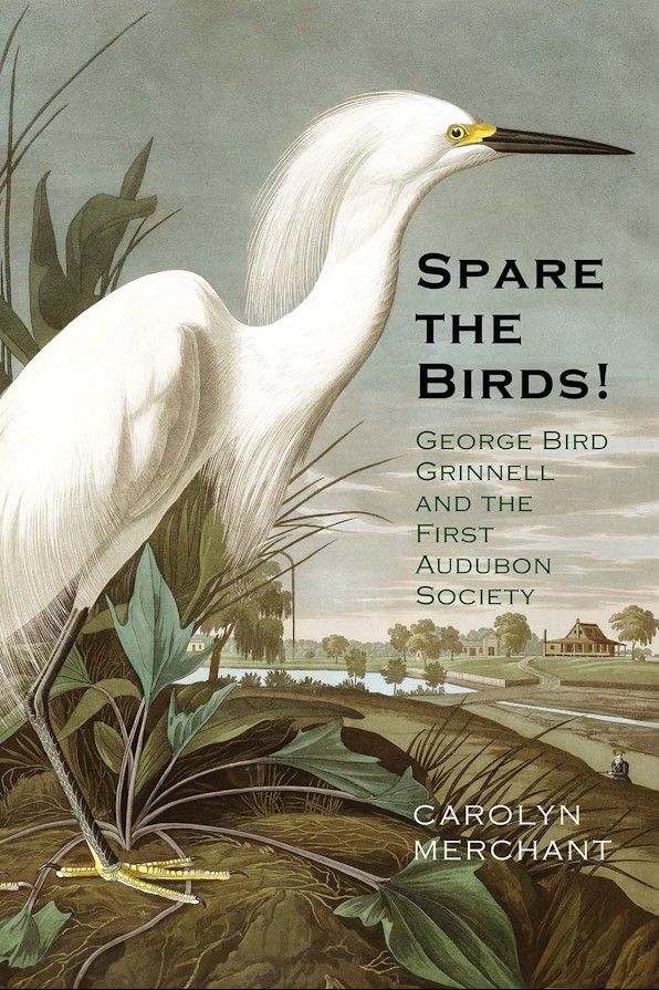 Spare the Birds!
