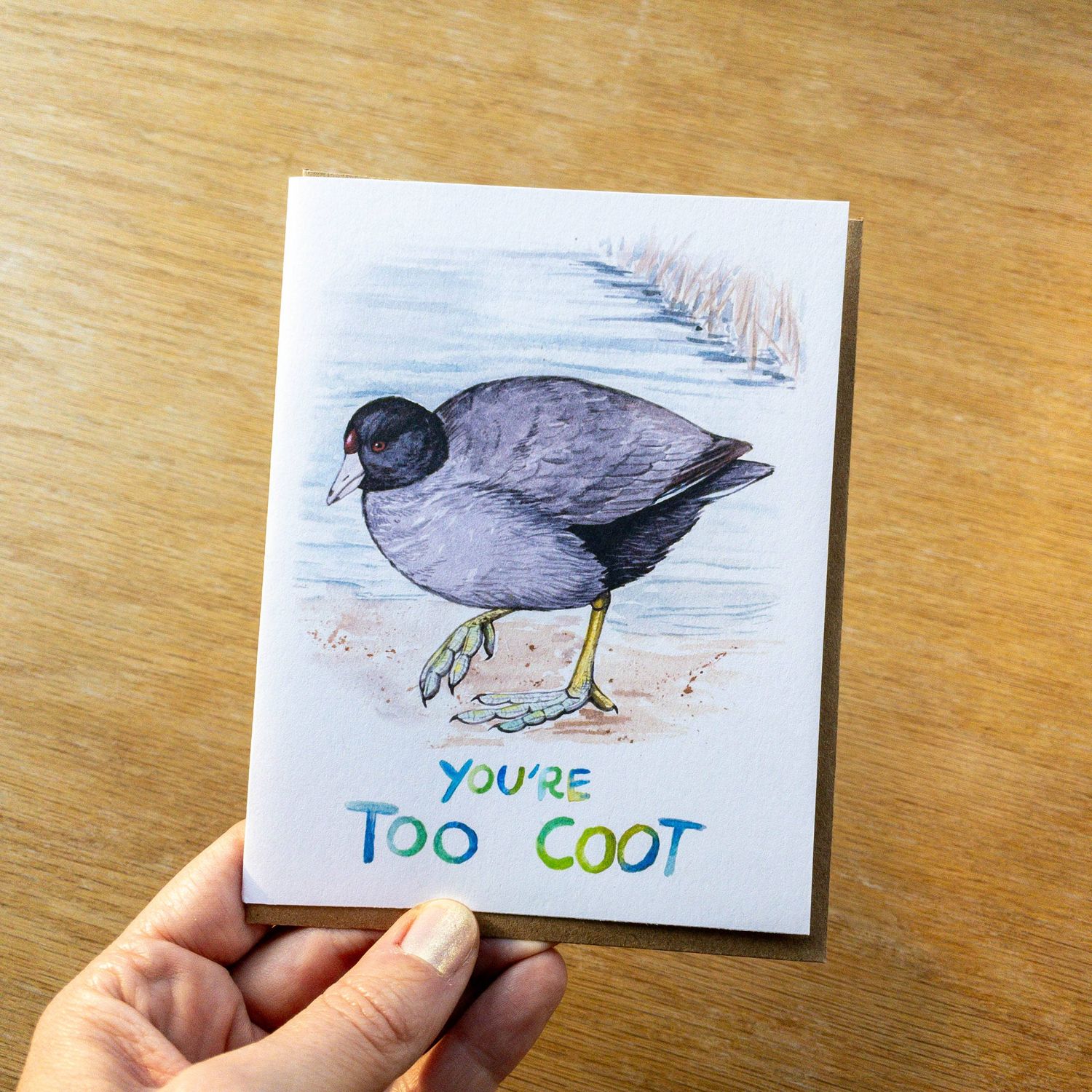 Too Coot American Coot Greeting Card 100% Recycled Paper