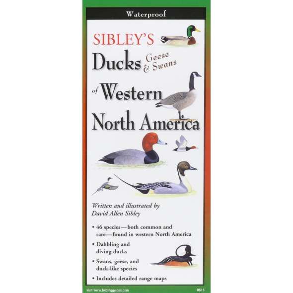 Sibley's Ducks, Geese, and Swans of Western North America