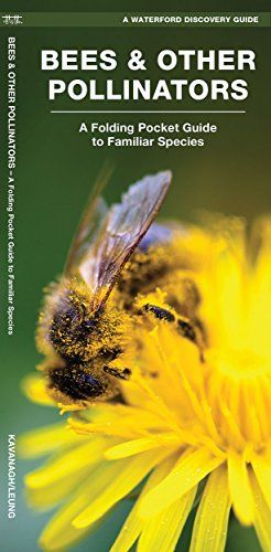 Waterford Discovery Guide: Bees &amp; Other Pollinators
