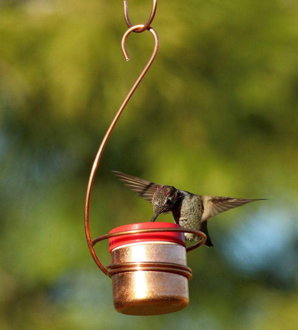 Copper Hummingbird Feeders (3 Variants)