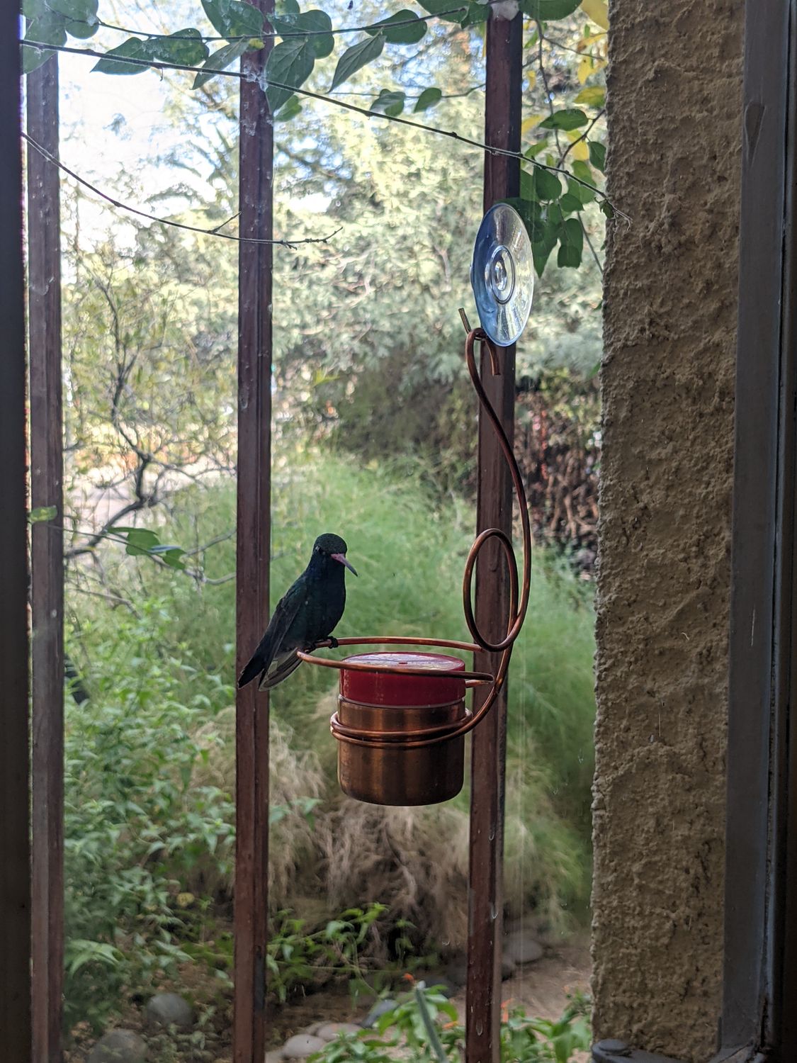 Copper Hummingbird Feeder, Style: Window-mounted 7in Feeder