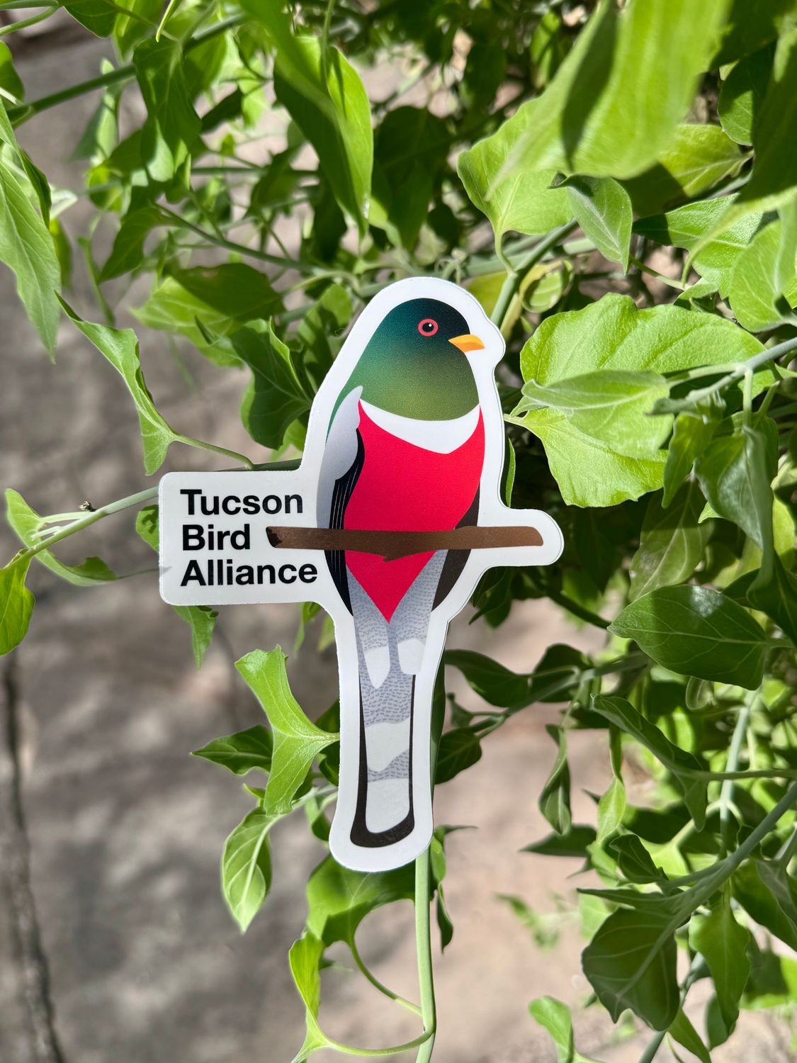 T.B.A. Trogon Sticker (Limited Edition)
