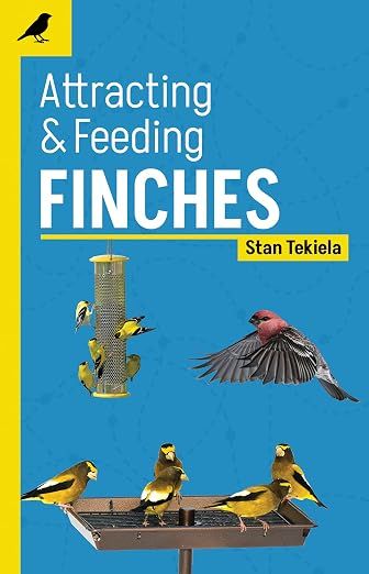 Attracting &amp; Feeding Finches