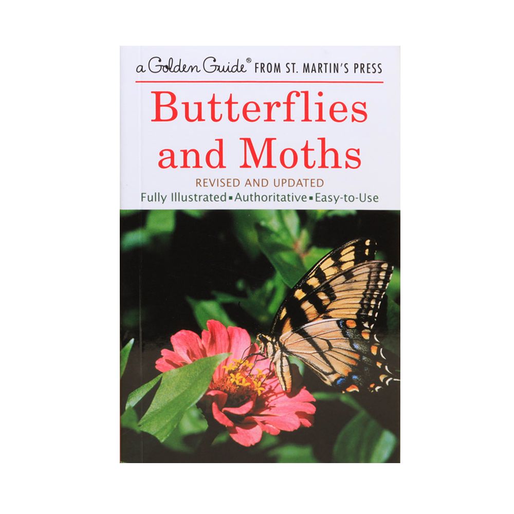 Butterflies and Moths