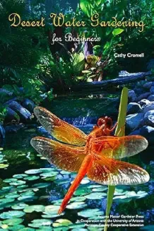 Desert Water Gardening for Beginners