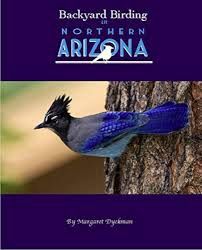 Backyard Birding in Northern Arizona