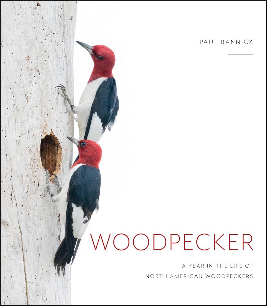 Woodpecker: A Year in the Life of North American Woodpeckers