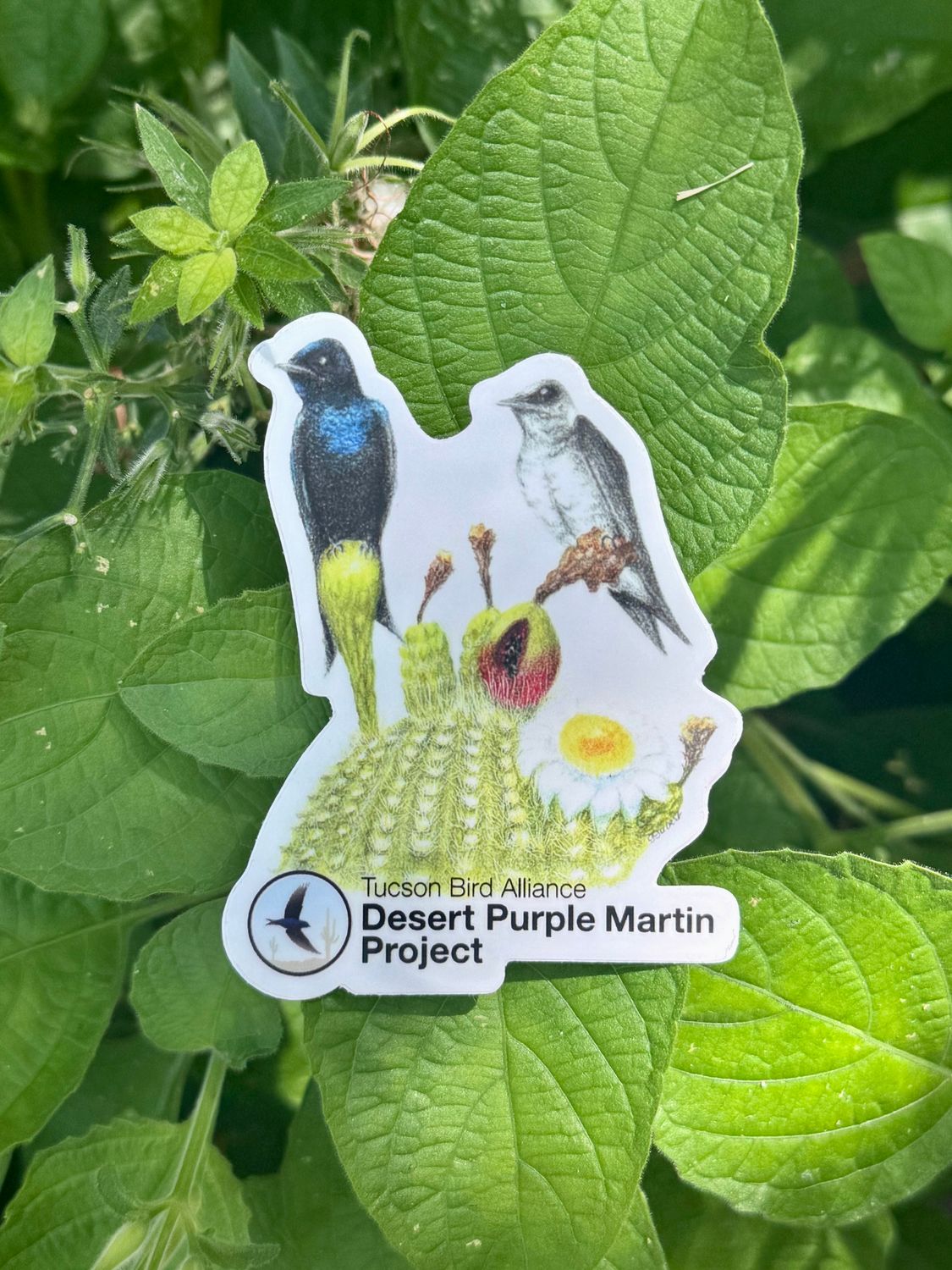 Desert Purple Martin Project Decals, Style: Cut -out