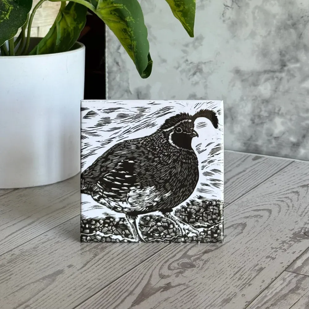 SDR Quail Magnet