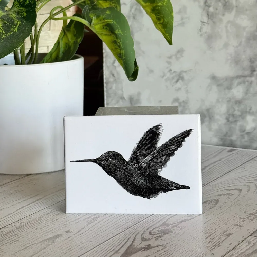 SDR Hummingbird Magnet
