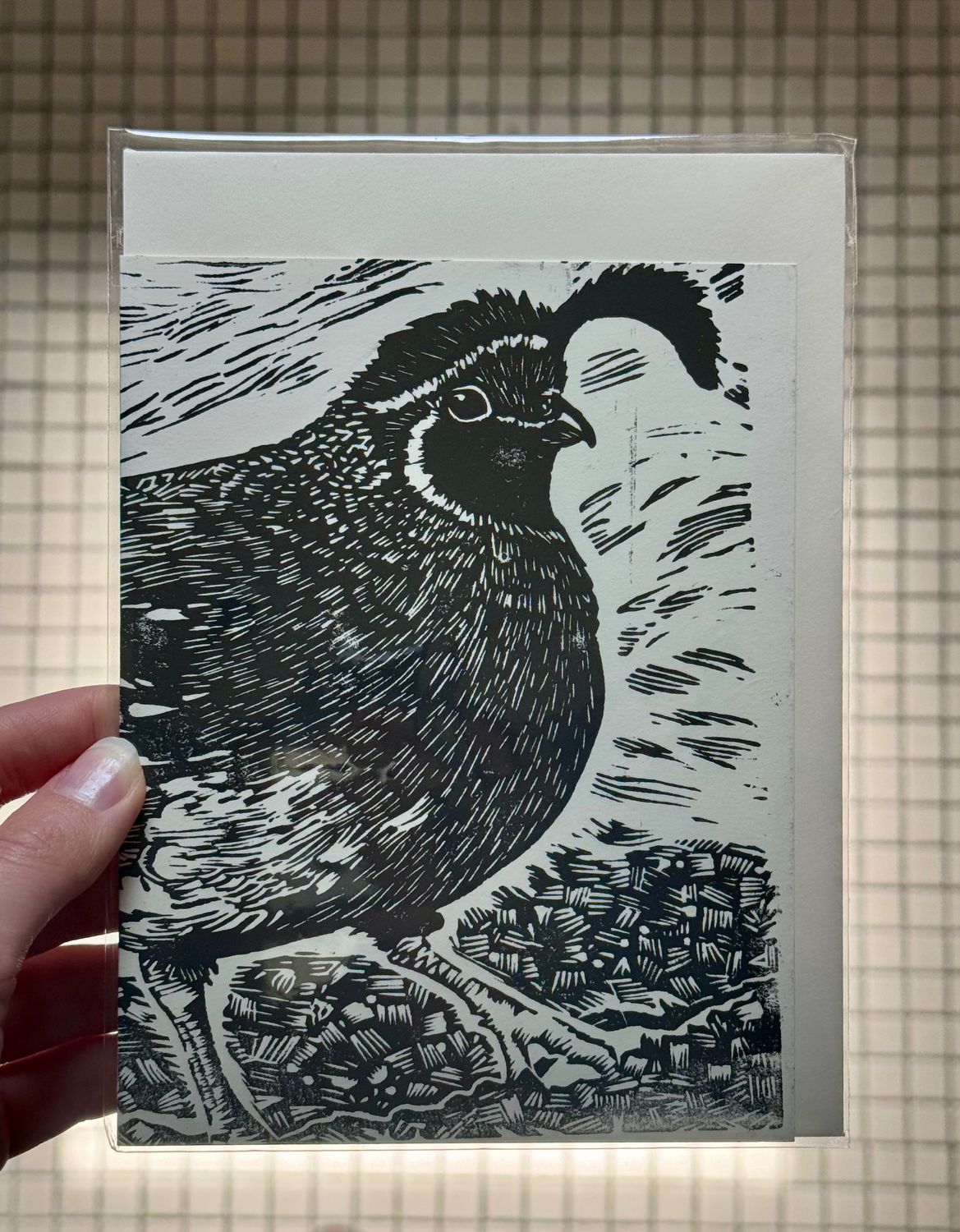 SDR Quail Card Hand-printed, Color: Black