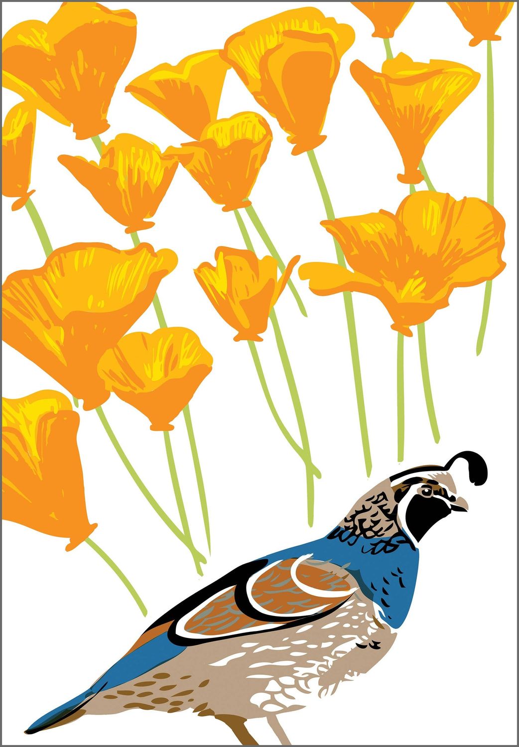 Quail Bird &amp; Native California Poppy Flower Magnet, Type of Bird: Quail