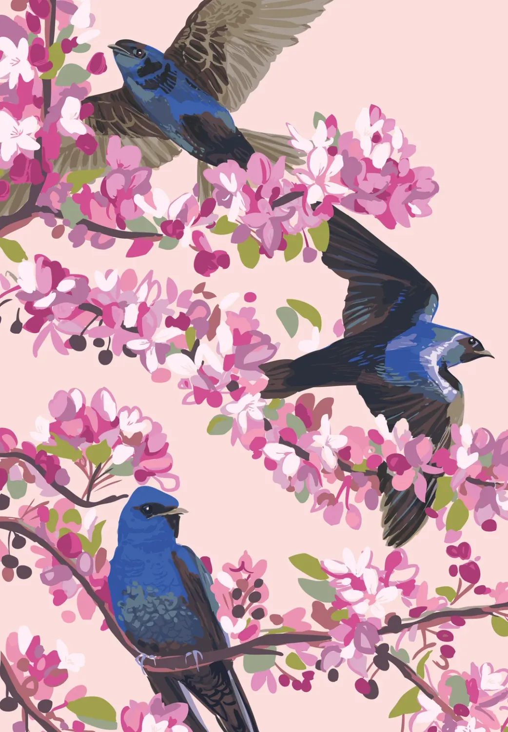 Purple Martins and Cherry Blossoms Magnet